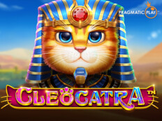 Cats casino. Oyun skor oyunları en güzel oyunlar.10